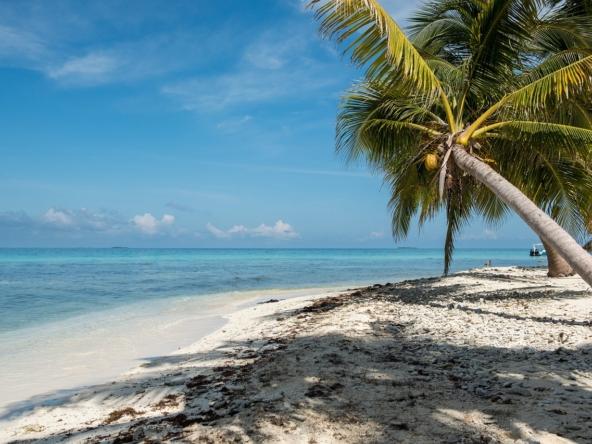 Top 10 Reasons Why Moving to Belize Will Change Your Life